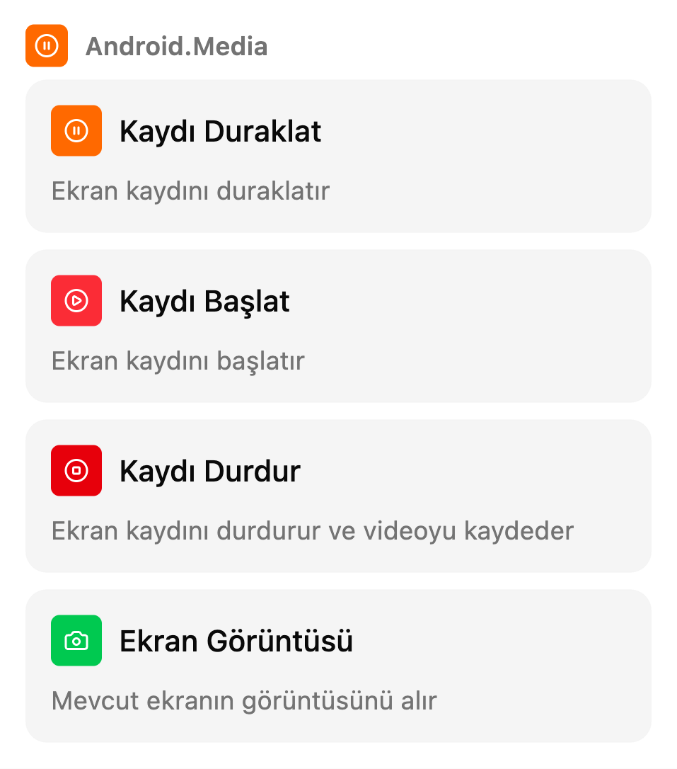 TestSafe senaryo ekranındaki Manuel kutular listesi, grup: Kayıt ve ekran görüntüsü