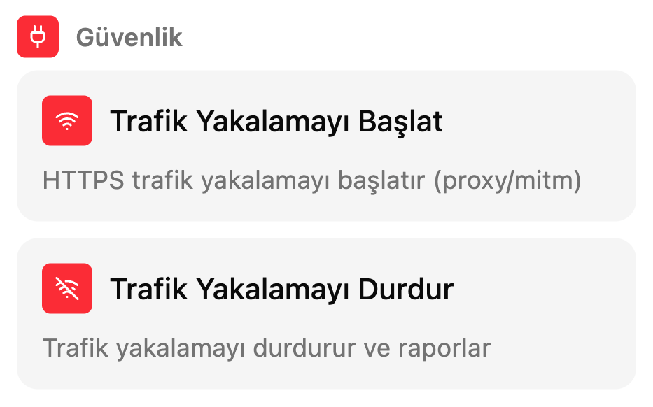 TestSafe senaryo ekranındaki Manuel kutular listesi, grup: Güvenlik